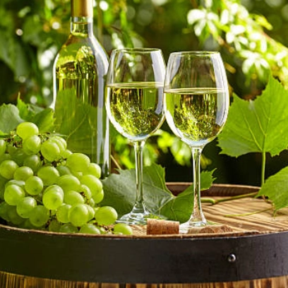 Bílá vína